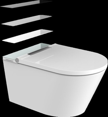 toilet and bidet in one toilet and bidet in one