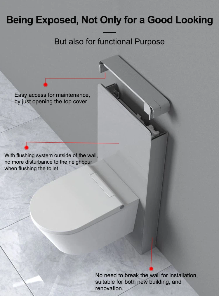 concealed toilet and cistern