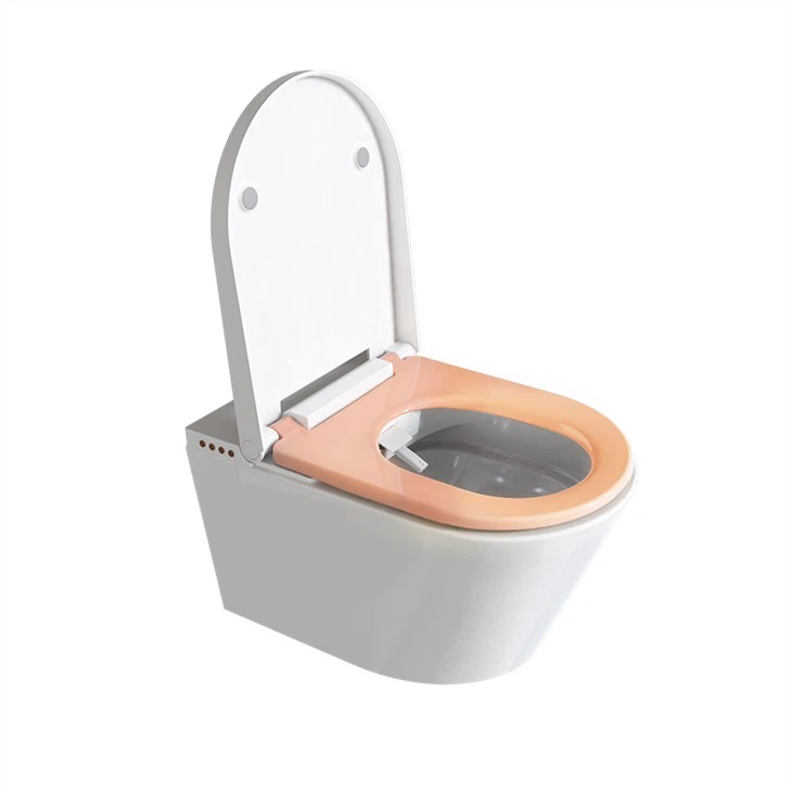 modern smart one piece toilet